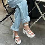 Sohiwoo 2024 Summer New Thick Heel Sandals with Waterproof Platform Open Toe Cross Strap Women's Fashion Roman Shoes