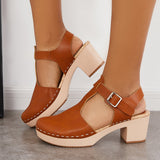 Sohiwoo  Imilybela Vintage Brown Mid Chunky Heels Buckle Shoes